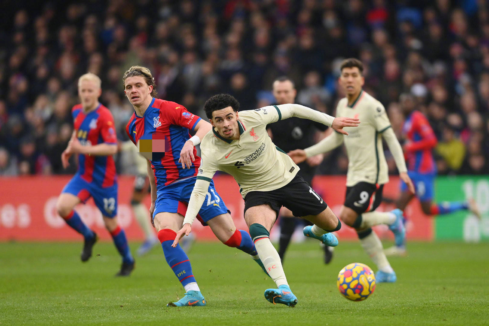 两位巨星的 两位巨星的