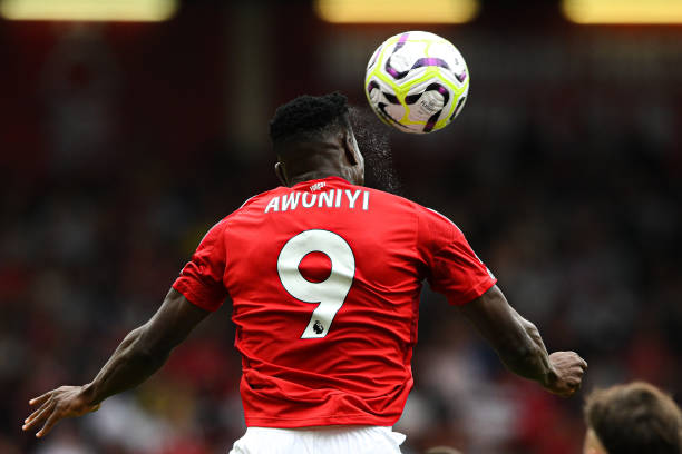 迷的广泛讨 迷的广泛讨